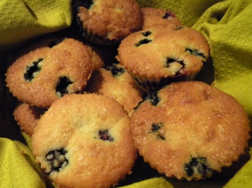 Blueberry Muffins 149